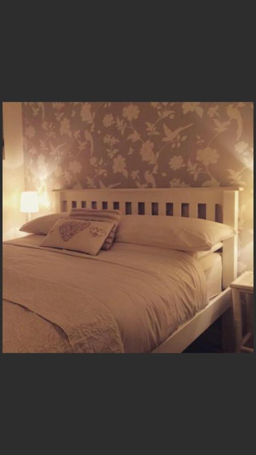 Ty Mawr Hotel Llanbedr  Ngoại thất bức ảnh